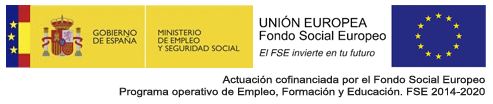 fondo social europeo 1